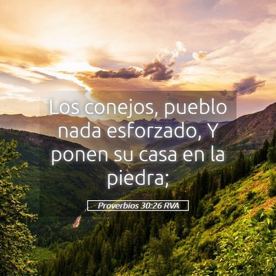 Picture 05 - Proverbios 30:26 RVA - Los conejos, pueblo nada esforzado, Y ponen su - Bible Verse Picture