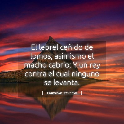 Picture 05 - Proverbios 30:31 RVA - El lebrel ceñido de lomos; asimismo el macho - Bible Verse Picture