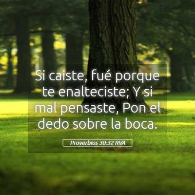 Picture 05 - Proverbios 30:32 RVA - Si caiste, fué porque te enalteciste; Y si mal - Bible Verse Picture