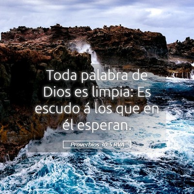 Picture 05 - Proverbios 30:5 RVA - Toda palabra de Dios es limpia: Es escudo á los - Bible Verse Picture