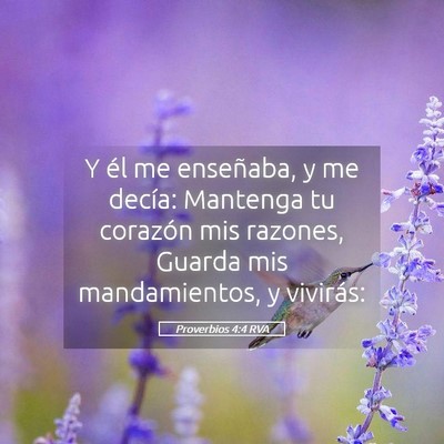 Picture 05 - Proverbios 4:4 RVA - Y él me enseñaba, y me decía: Mantenga tu - Bible Verse Picture