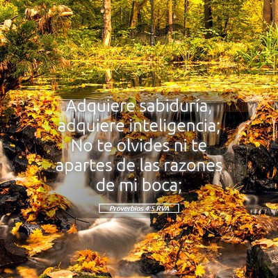 Picture 05 - Proverbios 4:5 RVA - Adquiere sabiduría, adquiere inteligencia; No te - Bible Verse Picture
