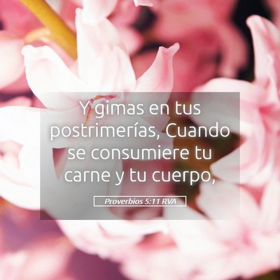 Picture 05 - Proverbios 5:11 RVA - Y gimas en tus postrimerías, Cuando se - Bible Verse Picture