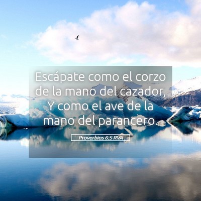 Picture 05 - Proverbios 6:5 RVA - Escápate como el corzo de la mano del cazador, Y - Bible Verse Picture