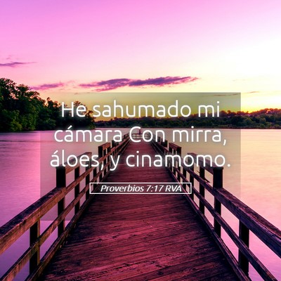 Picture 05 - Proverbios 7:17 RVA - He sahumado mi cámara Con mirra, áloes, y - Bible Verse Picture