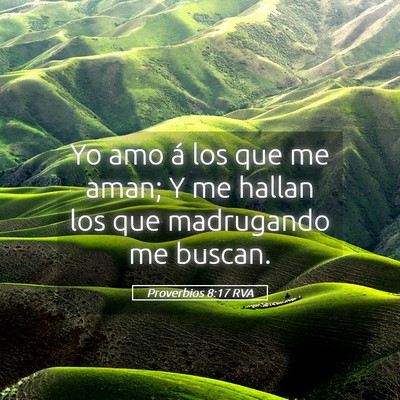 Picture 05 - Proverbios 8:17 RVA - Yo amo á los que me aman; Y me hallan los que - Bible Verse Picture