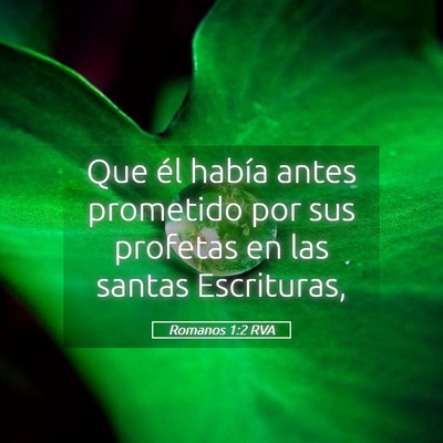 Picture 05 - Romanos 1:2 RVA - Que él había antes prometido por sus profetas - Bible Verse Picture