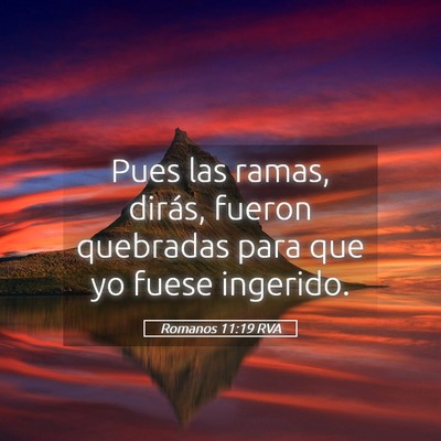Picture 05 - Romanos 11:19 RVA - Pues las ramas, dirás, fueron quebradas para que - Bible Verse Picture
