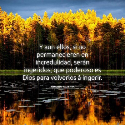 Picture 05 - Romanos 11:23 RVA - Y aun ellos, si no permanecieren en incredulidad, - Bible Verse Picture