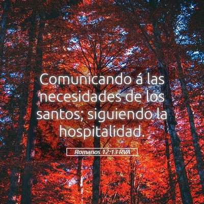 Picture 05 - Romanos 12:13 RVA - Comunicando á las necesidades de los santos; - Bible Verse Picture