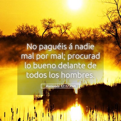 Picture 05 - Romanos 12:17 RVA - No paguéis á nadie mal por mal; procurad lo - Bible Verse Picture