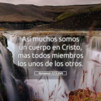 Picture 05 - Romanos 12:5 RVA - Así muchos somos un cuerpo en Cristo, mas todos - Bible Verse Picture
