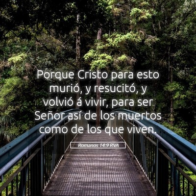Picture 05 - Romanos 14:9 RVA - Porque Cristo para esto murió, y resucitó, y - Bible Verse Picture