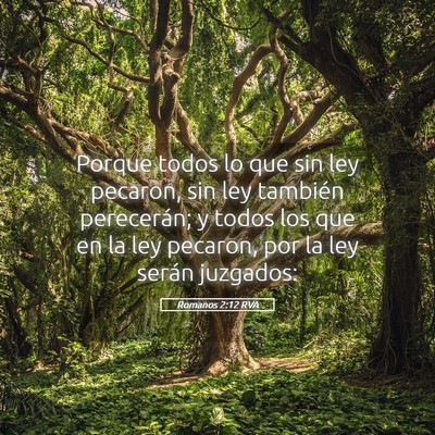 Picture 05 - Romanos 2:12 RVA - Porque todos lo que sin ley pecaron, sin ley - Bible Verse Picture