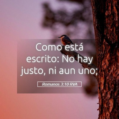 Picture 05 - Romanos 3:10 RVA - Como está escrito: No hay justo, ni aun - Bible Verse Picture