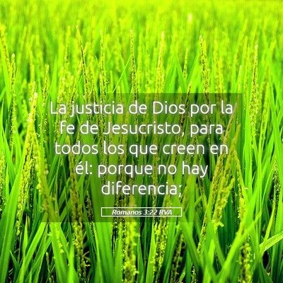 Picture 05 - Romanos 3:22 RVA - La justicia de Dios por la fe de Jesucristo, para - Bible Verse Picture