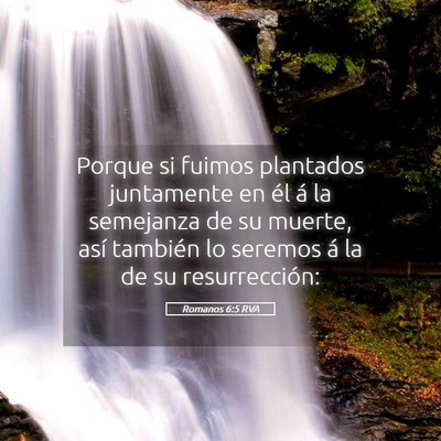 Picture 05 - Romanos 6:5 RVA - Porque si fuimos plantados juntamente en él á - Bible Verse Picture