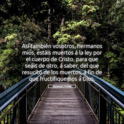 Picture 05 - Romanos 7:4 RVA - Así también vosotros, hermanos míos, estáis - Bible Verse Picture
