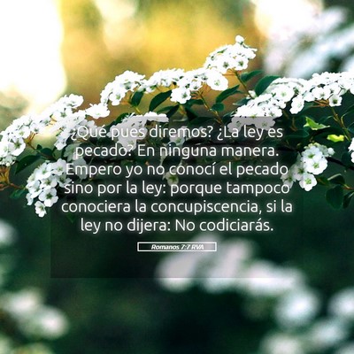 Picture 05 - Romanos 7:7 RVA - ¿Qué pues diremos? ¿La ley es pecado? En - Bible Verse Picture