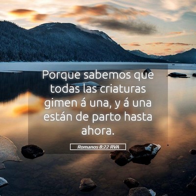 Picture 05 - Romanos 8:22 RVA - Porque sabemos que todas las criaturas gimen á - Bible Verse Picture