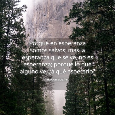 Picture 05 - Romanos 8:24 RVA - Porque en esperanza somos salvos; mas la - Bible Verse Picture