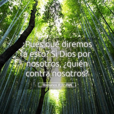 Picture 05 - Romanos 8:31 RVA - ¿Pues qué diremos á esto? Si Dios por - Bible Verse Picture