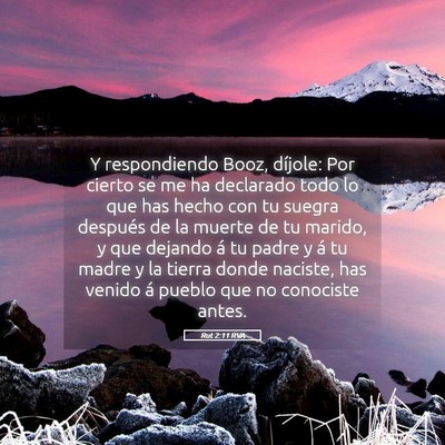 Picture 05 - Rut 2:11 RVA - Y respondiendo Booz, díjole: Por cierto se me ha - Bible Verse Picture