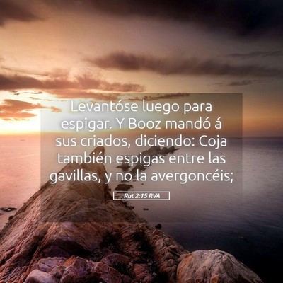 Picture 05 - Rut 2:15 RVA - Levantóse luego para espigar. Y Booz mandó á - Bible Verse Picture