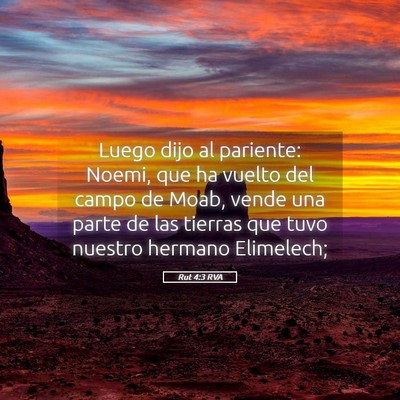 Picture 05 - Rut 4:3 RVA - Luego dijo al pariente: Noemi, que ha vuelto del - Bible Verse Picture