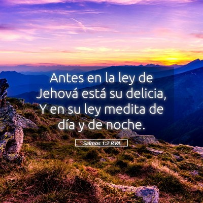 Picture 05 - Salmos 1:2 RVA - Antes en la ley de Jehová está su delicia, Y en - Bible Verse Picture