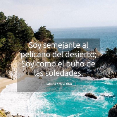 Picture 05 - Salmos 102:6 RVA - Soy semejante al pelícano del desierto; Soy como - Bible Verse Picture