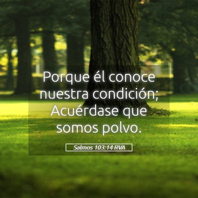 Picture 05 - Salmos 103:14 RVA - Porque él conoce nuestra condición; Acuérdase - Bible Verse Picture