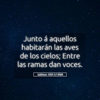 Picture 05 - Salmos 104:12 RVA - Junto á aquellos habitarán las aves de los - Bible Verse Picture
