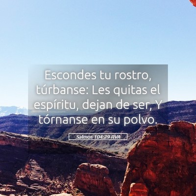 Picture 05 - Salmos 104:29 RVA - Escondes tu rostro, túrbanse: Les quitas el - Bible Verse Picture