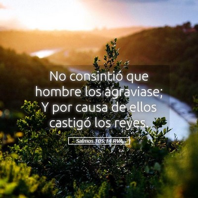 Picture 05 - Salmos 105:14 RVA - No consintió que hombre los agraviase; Y por - Bible Verse Picture
