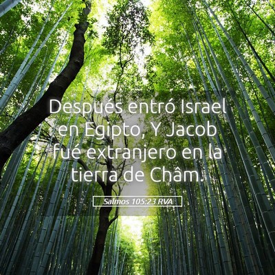 Picture 05 - Salmos 105:23 RVA - Después entró Israel en Egipto, Y Jacob fué - Bible Verse Picture