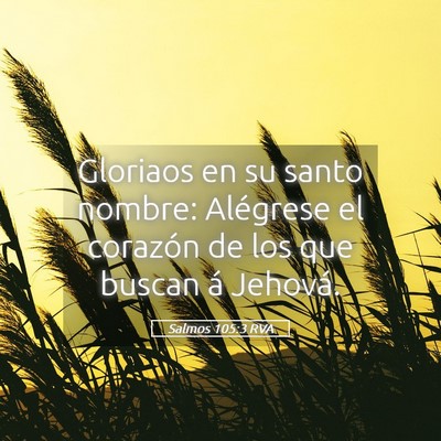 Picture 05 - Salmos 105:3 RVA - Gloriaos en su santo nombre: Alégrese el - Bible Verse Picture