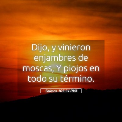 Picture 05 - Salmos 105:31 RVA - Dijo, y vinieron enjambres de moscas, Y piojos en - Bible Verse Picture