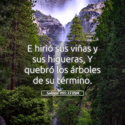 Picture 05 - Salmos 105:33 RVA - E hirió sus viñas y sus higueras, Y quebró los - Bible Verse Picture