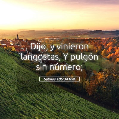 Picture 05 - Salmos 105:34 RVA - Dijo, y vinieron langostas, Y pulgón sin - Bible Verse Picture