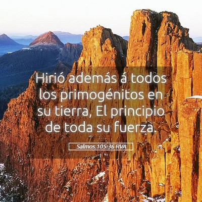 Picture 05 - Salmos 105:36 RVA - Hirió además á todos los primogénitos en su - Bible Verse Picture