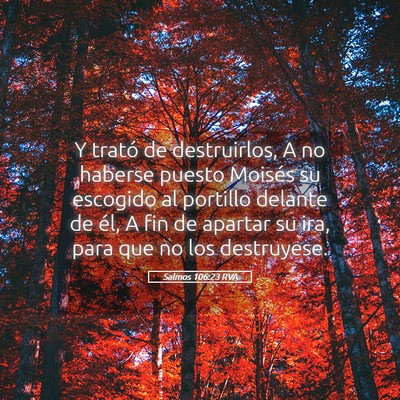 Picture 05 - Salmos 106:23 RVA - Y trató de destruirlos, A no haberse puesto - Bible Verse Picture