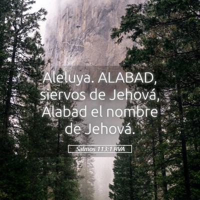Picture 05 - Salmos 113:1 RVA - Aleluya. ALABAD, siervos de Jehová, Alabad el - Bible Verse Picture