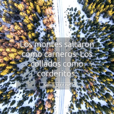 Picture 05 - Salmos 114:4 RVA - Los montes saltaron como carneros: Los collados - Bible Verse Picture