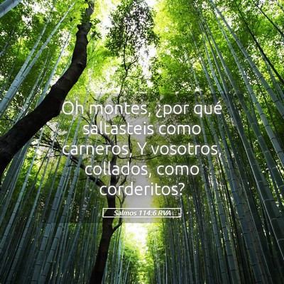 Picture 05 - Salmos 114:6 RVA - Oh montes, ¿por qué saltasteis como carneros, Y - Bible Verse Picture