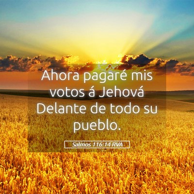Picture 05 - Salmos 116:14 RVA - Ahora pagaré mis votos á Jehová Delante de - Bible Verse Picture
