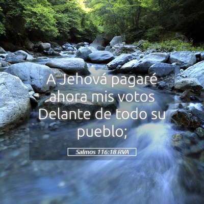 Picture 05 - Salmos 116:18 RVA - A Jehová pagaré ahora mis votos Delante de todo - Bible Verse Picture