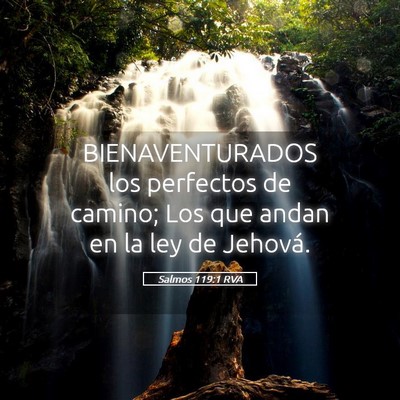 Picture 05 - Salmos 119:1 RVA - BIENAVENTURADOS los perfectos de camino; Los que - Bible Verse Picture