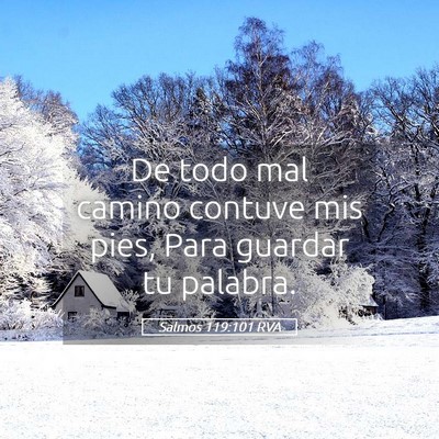 Picture 05 - Salmos 119:101 RVA - De todo mal camino contuve mis pies, Para guardar - Bible Verse Picture