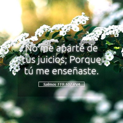 Picture 05 - Salmos 119:102 RVA - No me aparté de tus juicios; Porque tú me - Bible Verse Picture